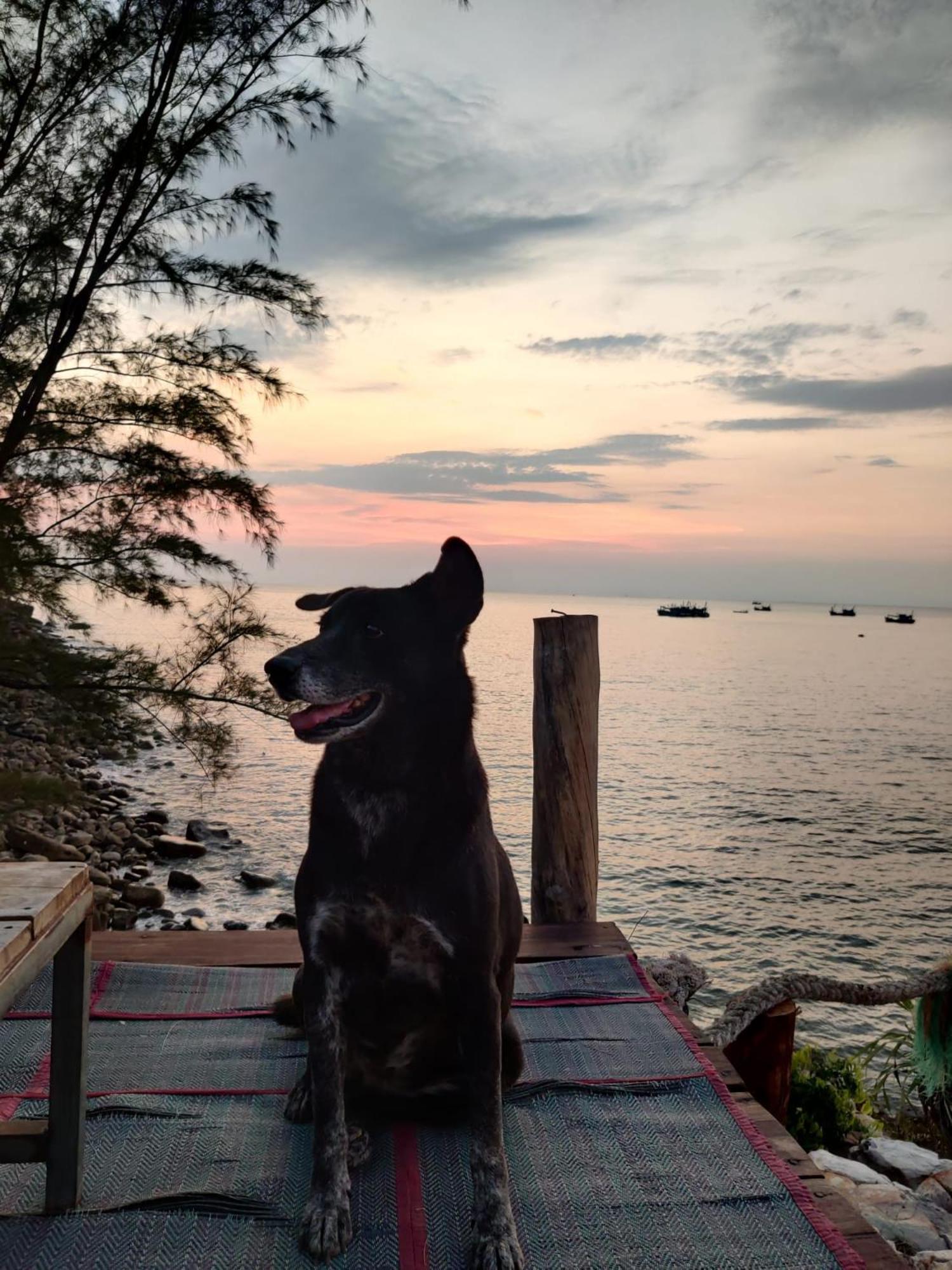 Dragonfly Guesthouse Koh Rong Sanloem Bagian luar foto